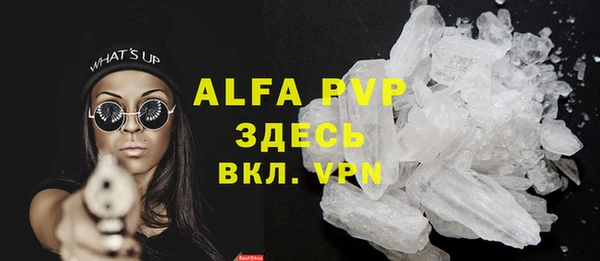стаф Алексин