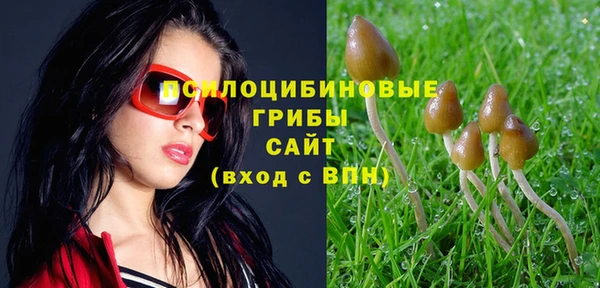 каннабис Алзамай