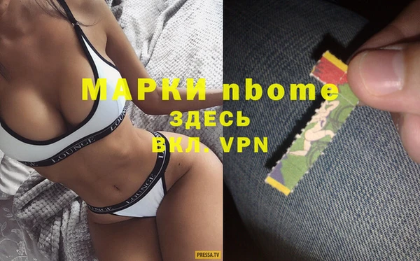 стаф Алексин